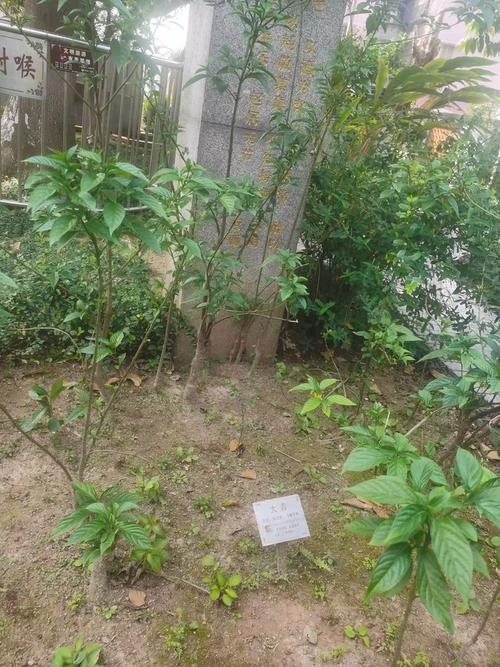 百平米展厅藏医典 中医药文化的“微入口”如何打开大世界