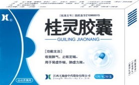 桂灵胶囊权威全解 招商指南、说明书与医药价值深度分析